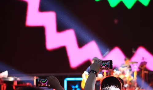 中演協(xié)經(jīng)紀(jì)人委員會攜手廣播電視節(jié)目制作經(jīng)營，助力沈陽法庫音樂節(jié)圓滿落幕